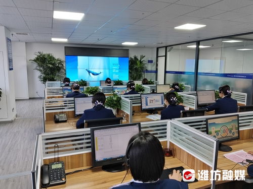 濰坊市民注意！月底將至，這項重要費用請及時繳納